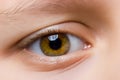 Eye Royalty Free Stock Photo