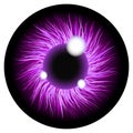 Purple Eyes Realistic Illustration Retina Iris Pupil , Contact Lens , Women Beauty , Cosmetic , Makeup Eye