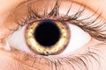 Eye Royalty Free Stock Photo