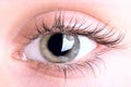 Eye Royalty Free Stock Photo