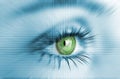 Eye Royalty Free Stock Photo