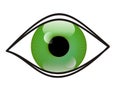 Eye Royalty Free Stock Photo