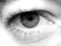 Eye Royalty Free Stock Photo
