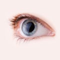 Eye Royalty Free Stock Photo