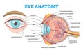 Eye anatomy with labeled structure scheme for human optic outline diagram