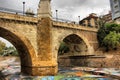 An eye of an ancient stone bridge called `Santa Teresa Bridge` or `Old Bridge of Elche city`