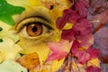 Eye in a background of autumul leaves. Earth, environment, living nature personification concept. Royalty Free Stock Photo