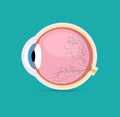 Eye ball vector retina closeup side view isolated icon. Round Eyeball 3d anatomy illustration object human icon