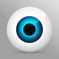 Eye, blue. Realistic 3d indigo eyeball vector illustration. Real human iris,pupil and eye sphere. Icon on transparent background.