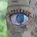Eye carved in tree trunk. Royalty Free Stock Photo