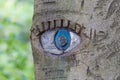 Eye carved in tree trunk. Royalty Free Stock Photo