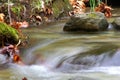 An eye-catching and refreshing forest stream Royalty Free Stock Photo