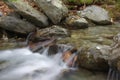 An eye-catching and refreshing forest stream Royalty Free Stock Photo