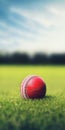 Eye-catching Cricket Ball On Grass Background In Soft Edges And Blurred Details