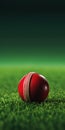 Eye-catching Cricket Ball On Grass Background Stock Photo