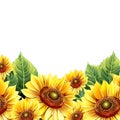 Eye catching floral background design with colorful sunflowers ai generated