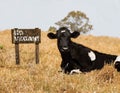 Eye-catching image of a cow next to a wooden sign to spread awareness about veganism.