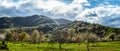 Eye-catching panoramic landscape with green grass, hills and trees, sunny weather, cloudy sky