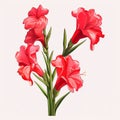 Eye-catching Red Gladiolus Flower Bouquet Illustrations