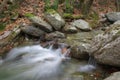 An eye-catching and refreshing forest stream Royalty Free Stock Photo