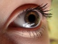 Eye of the child close-up with painted eyelashes Royalty Free Stock Photo