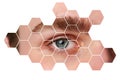 Eye close-up with hexagonal pattern overlay illustrating vision and perception in digital art Royalty Free Stock Photo