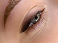 eye close-up after permanent eyelid makeup procedure