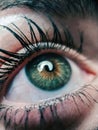 Eye close view. Human eye glance photo background. Emotional look, human face elements