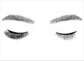 Eyelash extension illustration. Long-lasting styling of the eyebrows. Eyebrow lamination