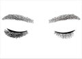 Eyelash extension illustration. Long-lasting styling of the eyebrows. Eyebrow lamination Royalty Free Stock Photo
