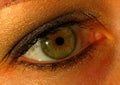 Eye closeup Royalty Free Stock Photo