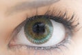 Eye with contact lens Royalty Free Stock Photo