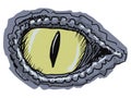 Eye of crocodile