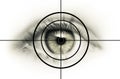 Eye in the cross hairs Royalty Free Stock Photo