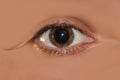Eye with dilated pupil Royalty Free Stock Photo