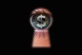 Eye with dollar symbol in keyhole Royalty Free Stock Photo