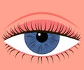 Eye with down lid. Blepharoplasty, eyelid surgery. Correction aesthetic view of eye. Vector illustration Royalty Free Stock Photo