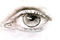 Eye drawing with a simple pencil Royalty Free Stock Photo