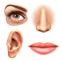 Eye Ear Lips Nose Icons Set