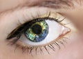 Eye with earth Royalty Free Stock Photo