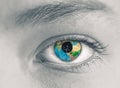 Eye with Earth planet Royalty Free Stock Photo