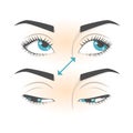 Eye exercise. Movement for eyes relaxation. Eyeball, eyelash