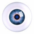 Oko bulva oční 