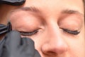 Eye and eyebrow of a young woman and eyebrow correction procedure Royalty Free Stock Photo