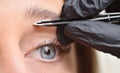 Eye and eyebrow of a young woman and tweezers, eyebrow correction procedure Royalty Free Stock Photo