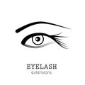 Eye eyelash extensions Royalty Free Stock Photo