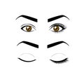 Eye with eyelash extensions and without eyelashes. Eyelash Extension Guide. Infographics vector illustration