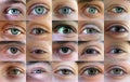 Eye, eyes - many eyes