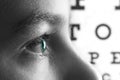 Eye eyesight ophthalmology test and vision health,  doctor Royalty Free Stock Photo