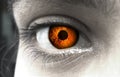 Eye with fire in the eyes. Royalty Free Stock Photo